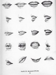 an image of mouth expressions drawn in pencil