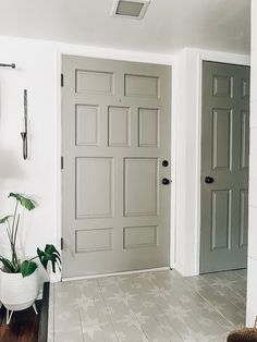 an entryway with two doors and a potted plant on the floor next to it