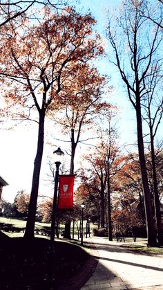 the trees are changing colors in the fall season, and there is no image here to provide a caption for