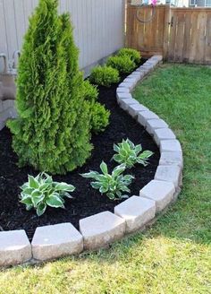 a small garden with green plants in it