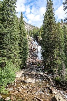 a small waterfall in the middle of some trees