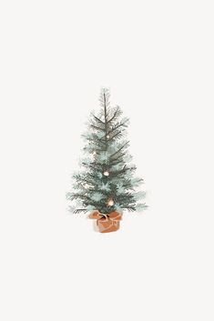 a small christmas tree in a pot with lights on it's branches, against a white background