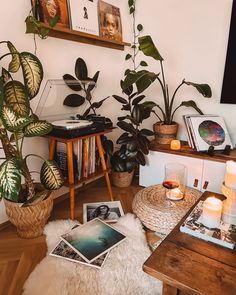 a living room filled with lots of plants and pictures on the wall next to a coffee table