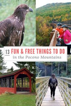 the cover of 13 fun and free things to do in the pocono mountains