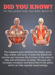 an image of the muscles and their functions in human body diagram with caption that says, did you know?