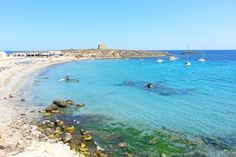 people are swimming in the clear blue water