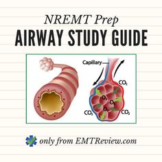 an image of the nemt prep airway study guide