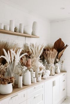 there are many vases and plants on the shelf