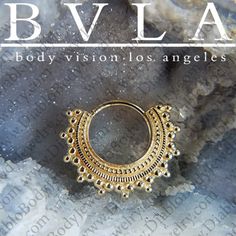 the cover of b vla's book, body vision los angeles