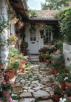 a stone path with potted plants and flowers on either side of the house door