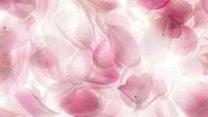 pink flowers are flying in the air on a white and pink background that is very soft