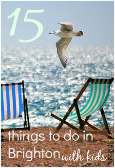 the beach with two chairs and a seagull flying over it