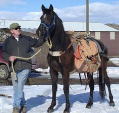 a man standing next to a horse in the snow with a backpack on it's back