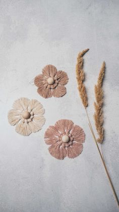 three dried flowers on a white surface next to some brown and beige stalks with one flower in the middle