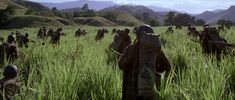 a large group of people with backpacks walking through tall grass