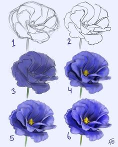 how to draw flowers with colored pencils step by step drawing instructions for beginners