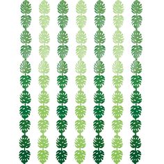 green leaves are arranged in rows on a white background