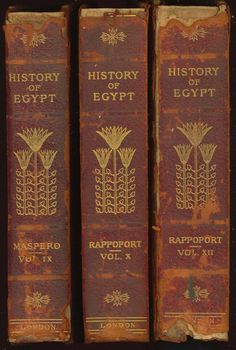 three red books with gold lettering on them are lined up against a black background and the title american history of egypt, typhonn nubian