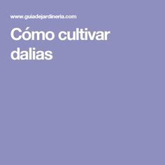 the words como cultivar canela in white on a purple background with an image of