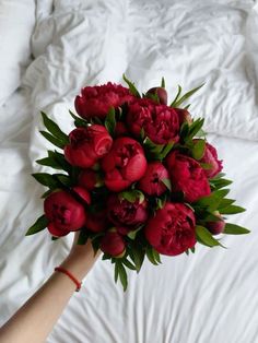 a person holding a bouquet of red flowers in front of a white comforter on a bed