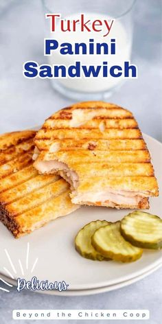 turkey panini sandwich with pickles on the side