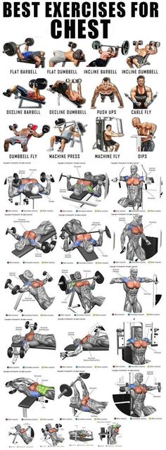 the best exercises for chest workout poster