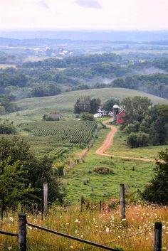 a dirt road going through a lush green countryside