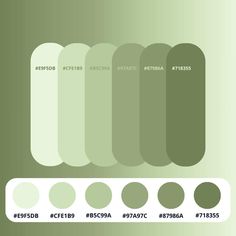 an image of a green background with different color options for the colors in each section