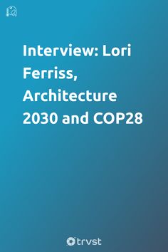 the cover of an interview with text that reads'interview lori ferriss, architecture 205 and