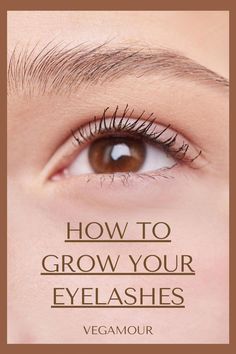 OK, so maybe you overdid it with the tweezers or ripped out a few lashes with your eyelash curler. It happens! Take these steps to regrow your brows and lashes. Eyelashes Serum, Eyelash Growth Cycle, Regrow Eyebrows, Best Eyelash Growth Serum, Grow Eyelashes, Natural Eyelash Growth