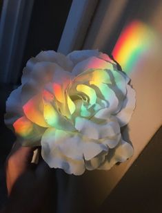 a white rose is being held up by someone's hand with a rainbow in the background