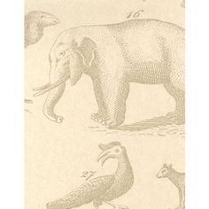 an elephant and other animals are depicted in this drawing