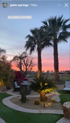 palm trees are in the background as the sun is setting over some rocks and grass