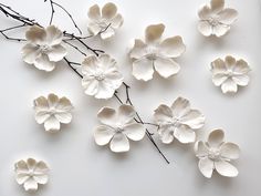 some white flowers and branches on a white surface with one flower in the middle surrounded by smaller ones