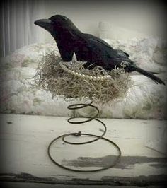 a black bird sitting on top of a nest