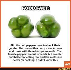 two green peppers sitting next to each other on top of a white sheet with the caption