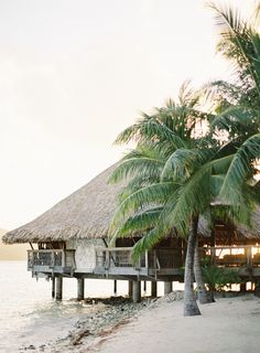 a hut on the beach with palm trees