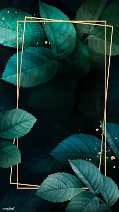 green leaves with gold frame in the middle on a black background, surrounded by greenery