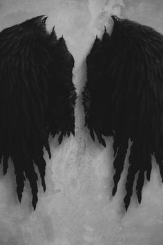 two black angel wings on a white background