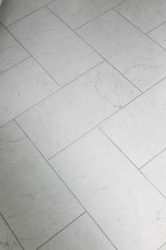 a black and white dog laying on the floor