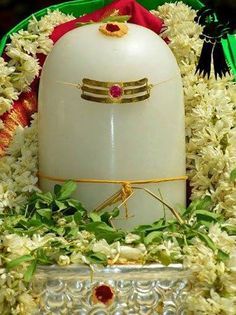 a white bell surrounded by flowers and greenery in a green box with gold trim