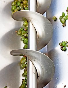 some grapes are growing on the side of a metal pole in front of a white wall