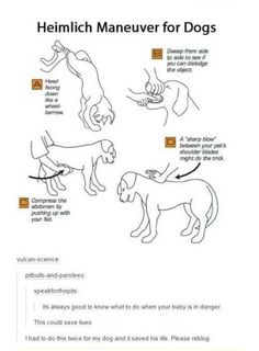 an image of dogs and their names on the page, which includes instructions for how to use