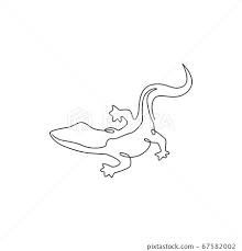 a line drawing of a lizard on a white background