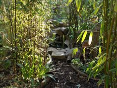 there is a stone path in the woods