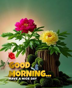 some flowers are sitting on top of a stump with the words good morning have a nice day