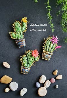 three succulents with flowers and rocks on a black surface next to some plants