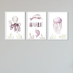 three prints with sea animals hanging on the wall