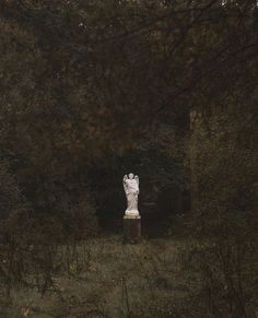 an image of a statue in the woods