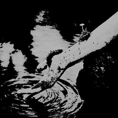 black and white photograph of a person's hand in water